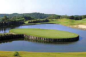 ���݂��炸�S���t�����N�X