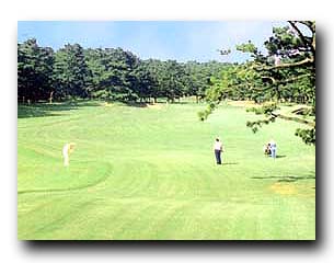 ���S���t��y��